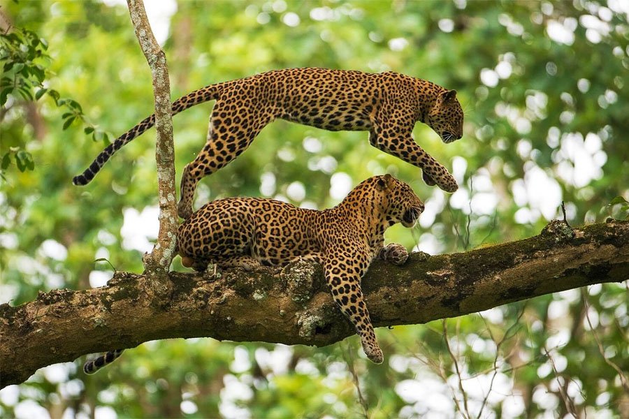 Tribal And Wildlife Tour Of Chhattisgarh